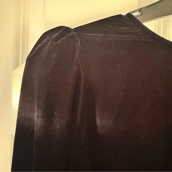 The Vampire’s Wife for H&M. Velvet Mini Dress - Picture 5 of 9